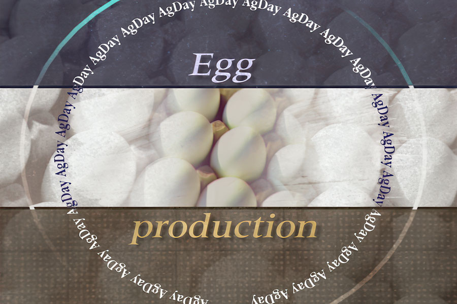 AgDay news package graphic3