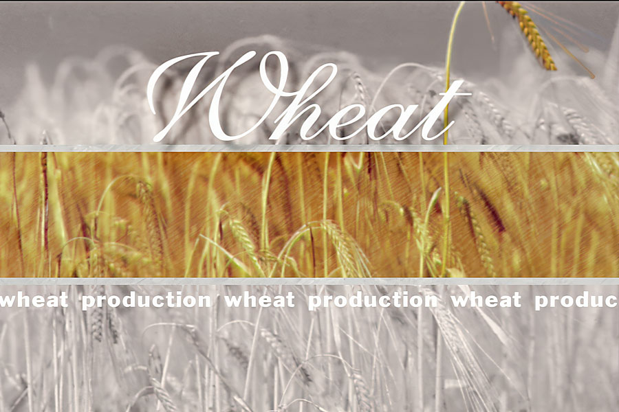 AgDay news package graphic2