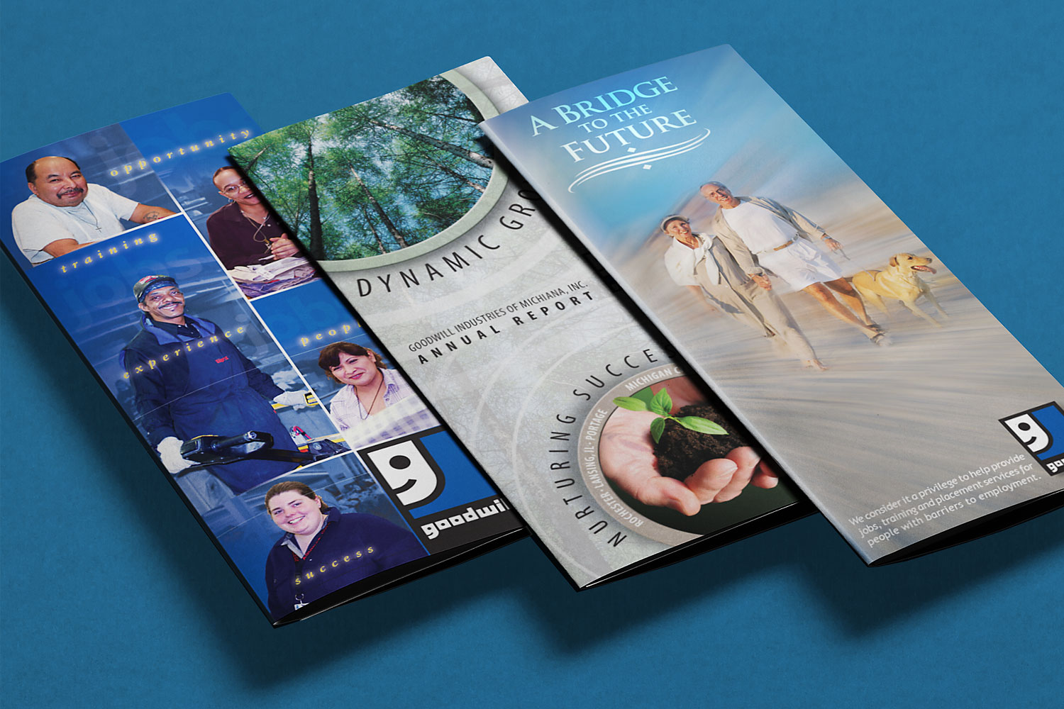 Goodwill brochures