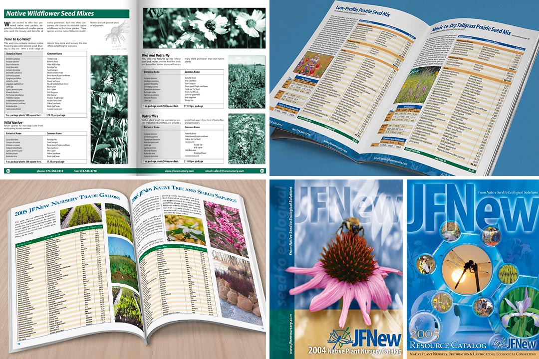 services_brand-rebrand_jfnew brand and rebrand examples